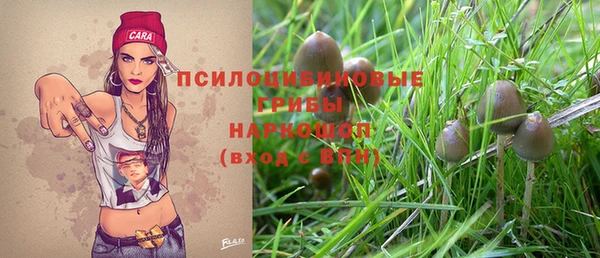 spice Магас