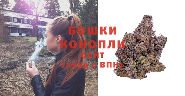 PSILOCYBIN Липки