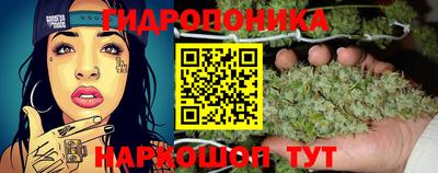 мяу мяу мука Кингисепп