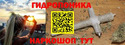 мяу мяу мука Кингисепп