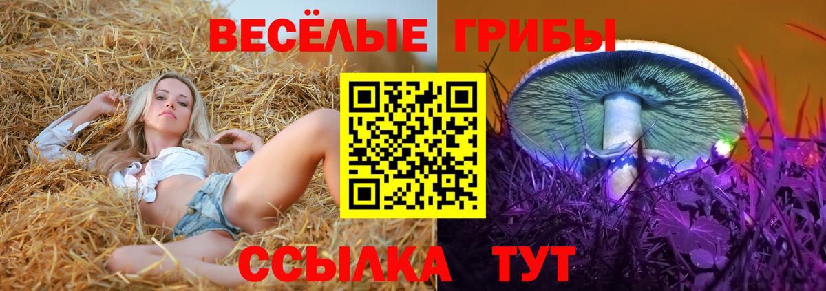 магазин    Псилоцибиновые грибы прущие грибы  Вход с VPN  Чайковский 