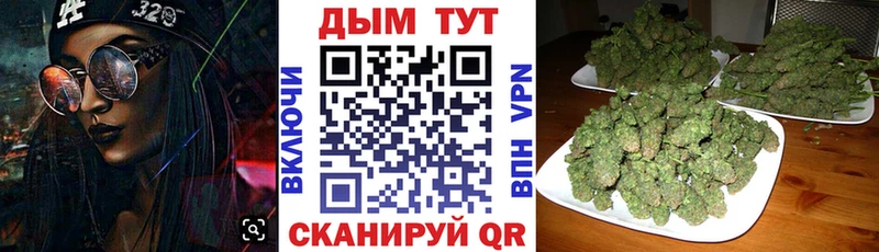 Каннабис ГИДРОПОН  где найти   Чайковский 